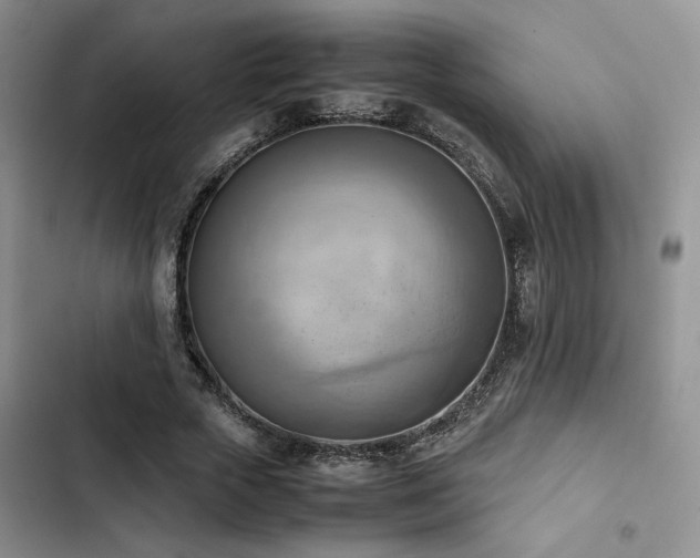 X0000102860729200808181440