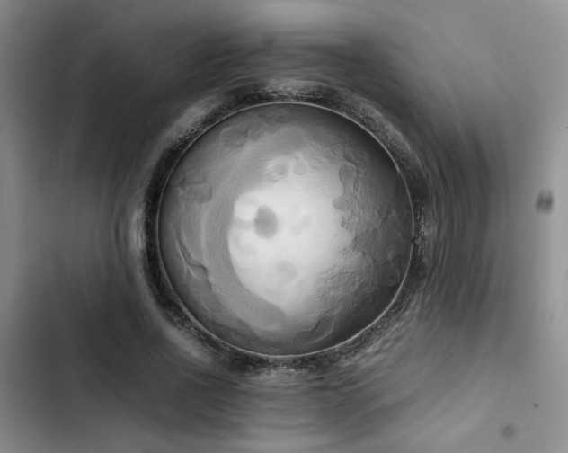 X0000102860734200808181440