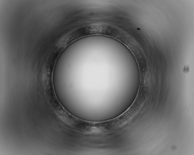 X0000102860737200808181440