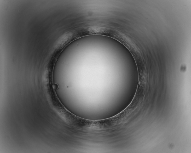 X0000102860738200808181440