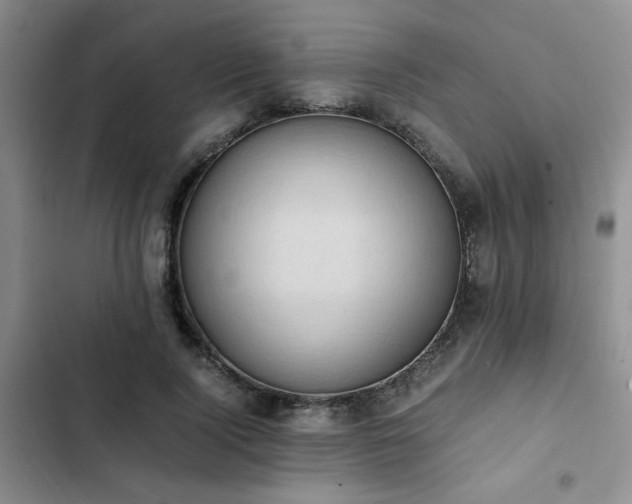 X0000102860740200808181440