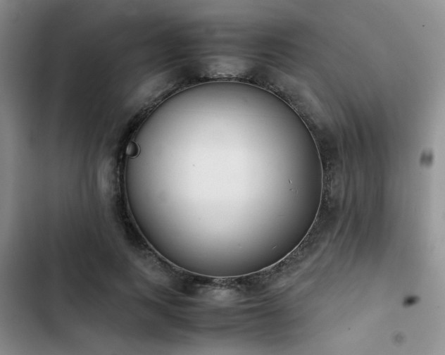 X0000102860743200808181440