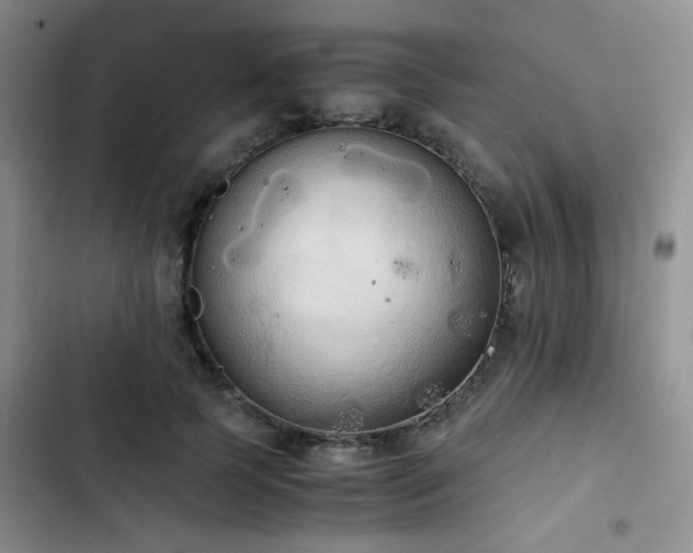 X0000102860745200808181440