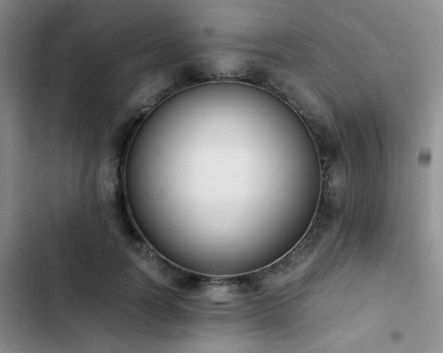 X0000102860746200808181440