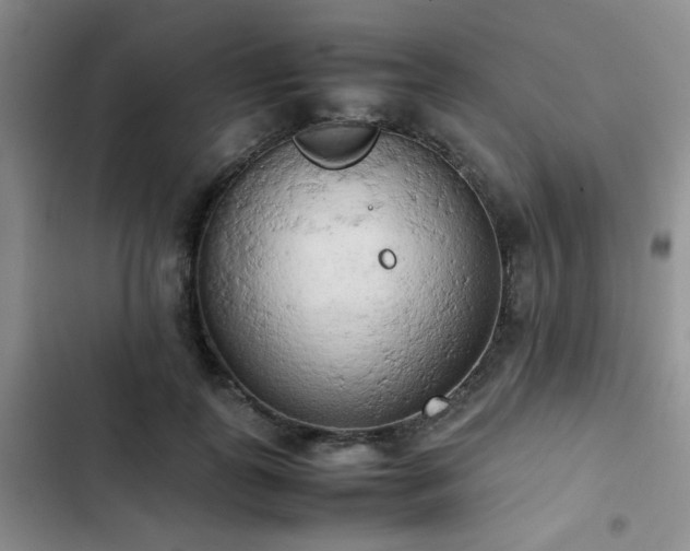 X0000102860747200808181440