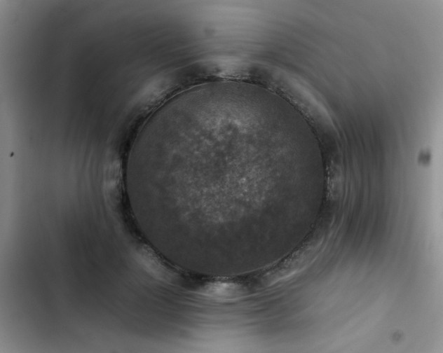 X0000102860748200808181440