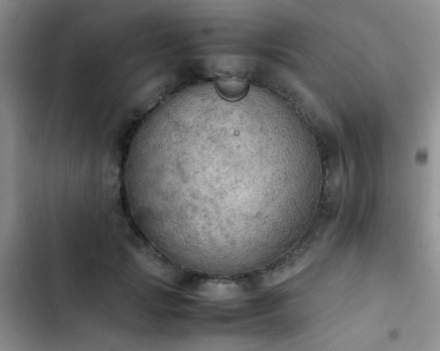 X0000102860749200808181440