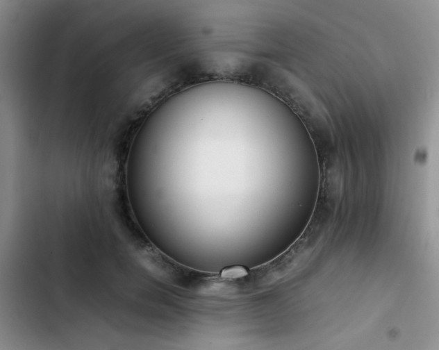 X0000102860750200808181440