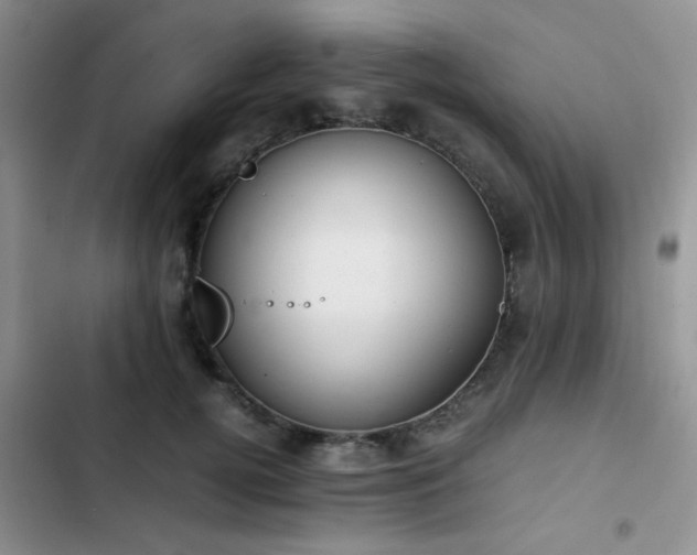 X0000102860752200808181441