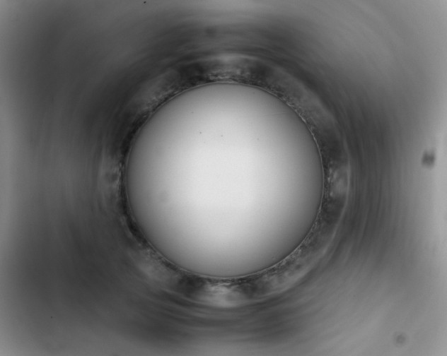 X0000102860753200808181441