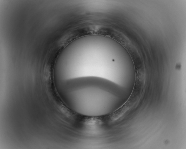 X0000102860754200808181441