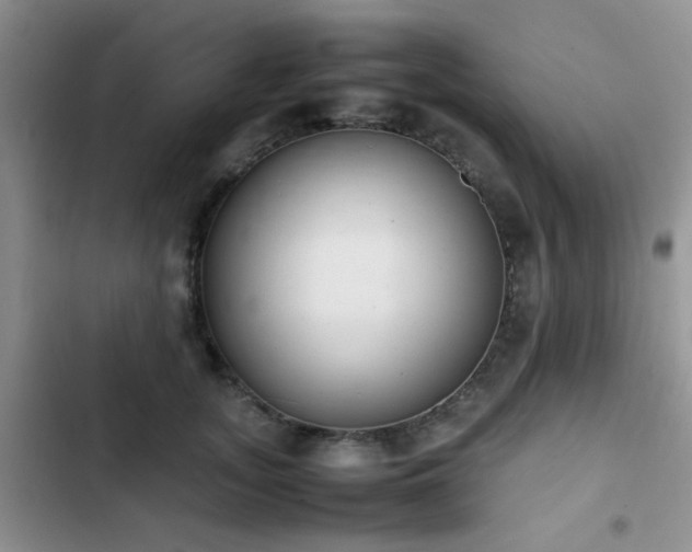 X0000102860755200808181441