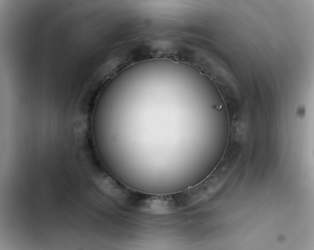 X0000102860756200808181441