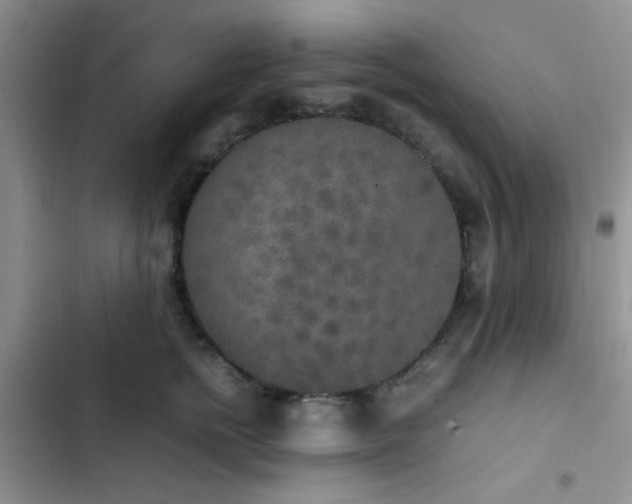 X0000102860758200808181441