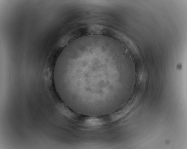 X0000102860759200808181441