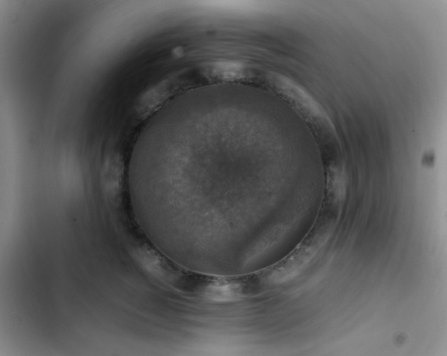 X0000102860760200808181441