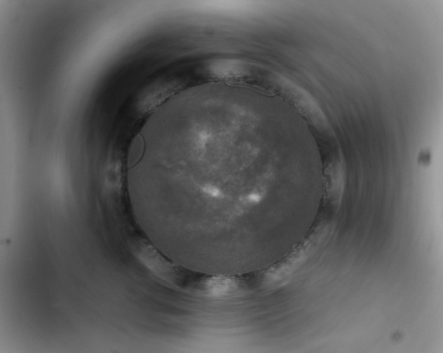 X0000102860762200808181441