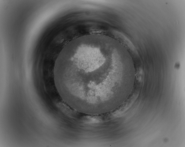 X0000102860763200808181441