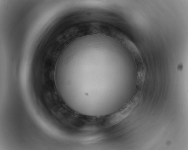 X0000102860765200808181441