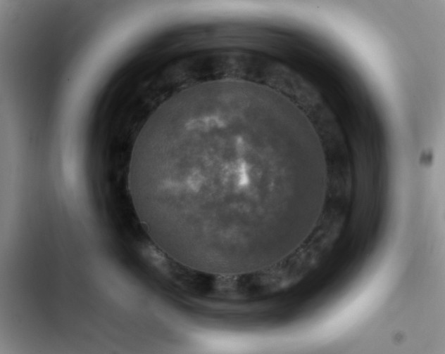 X0000102860766200808181441