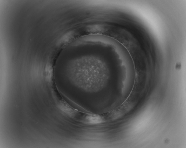 X0000102860767200808181441