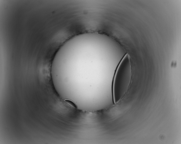 X0000102860768200808181441