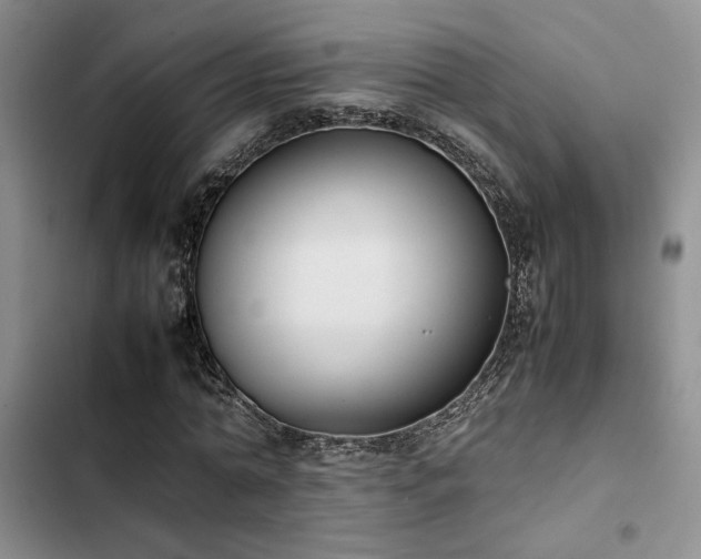 X0000102860774200808181440