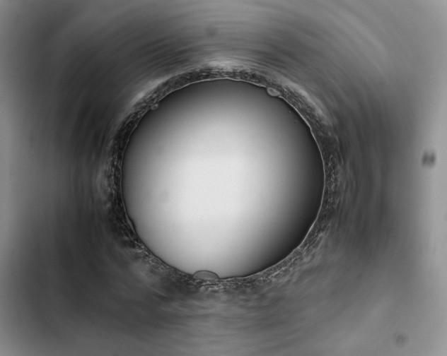 X0000102860776200808181440