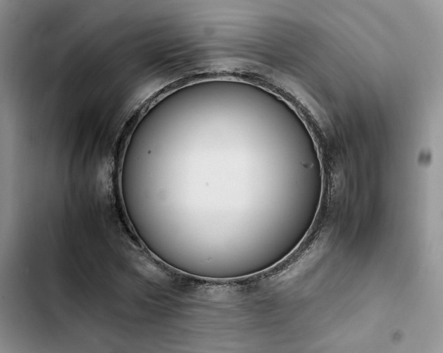 X0000102860778200808181440