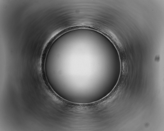 X0000102860780200808181440