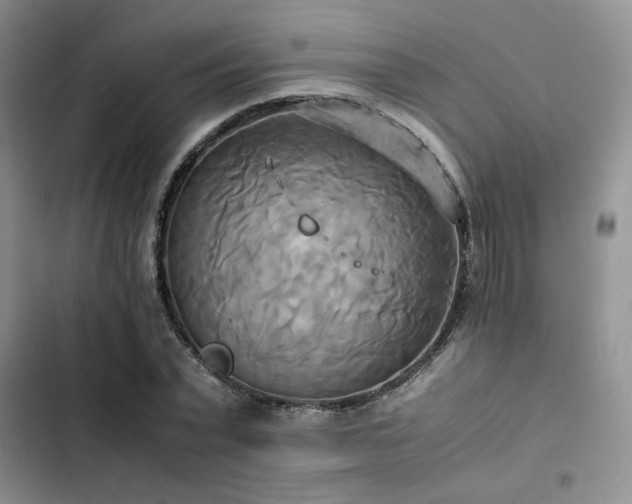 X0000102860783200808181440