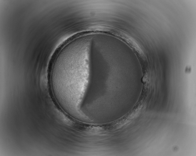 X0000102860784200808181440