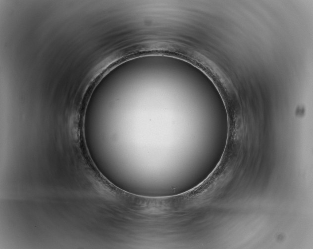 X0000102860786200808181440