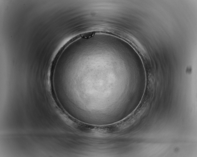 X0000102860788200808181440