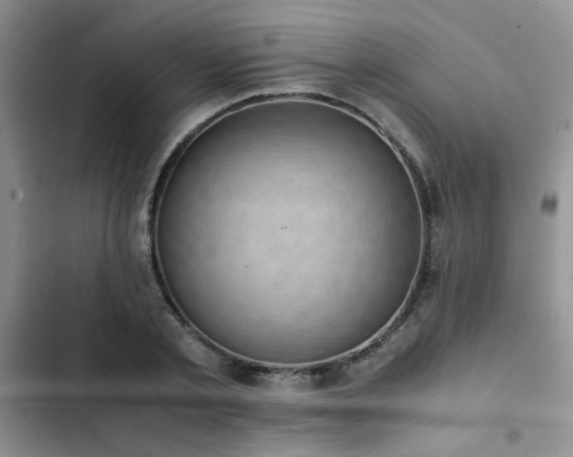 X0000102860789200808181440