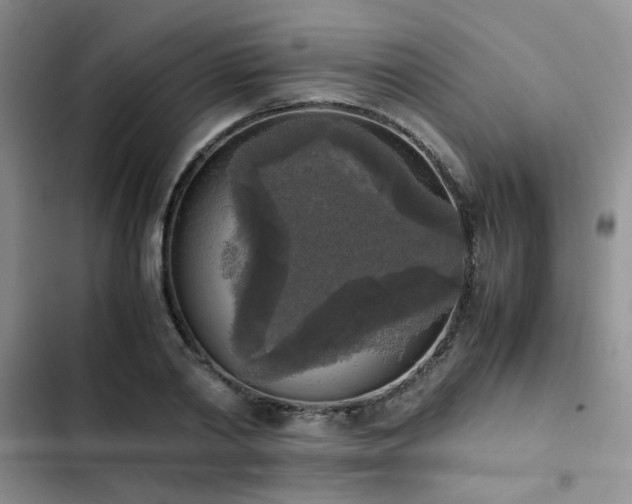 X0000102860790200808181440