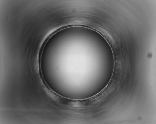 X0000102860792200808181440