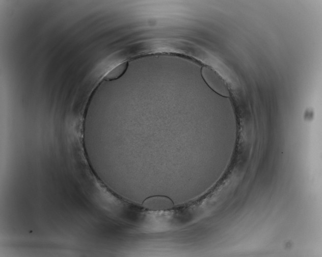 X0000102860793200808181440