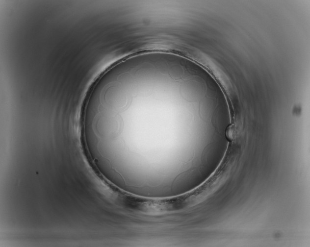 X0000102860795200808181440