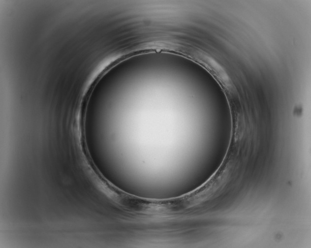 X0000102860796200808181440