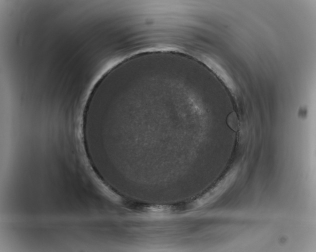 X0000102860797200808181440