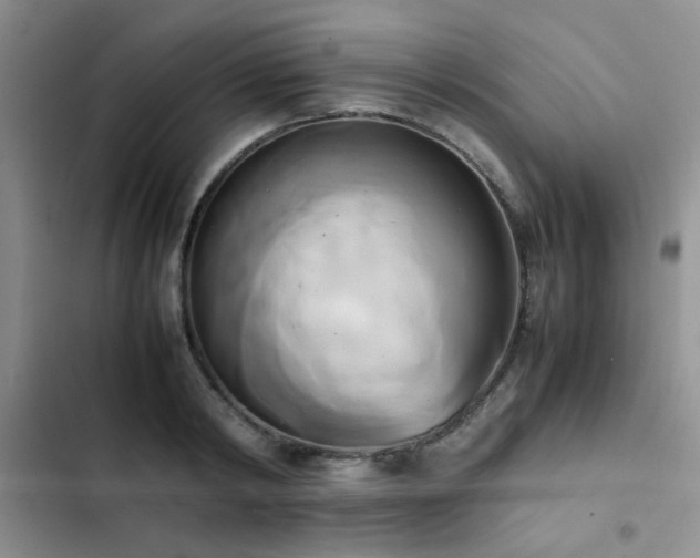 X0000102860798200808181440