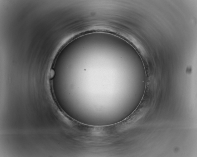 X0000102860799200808181440