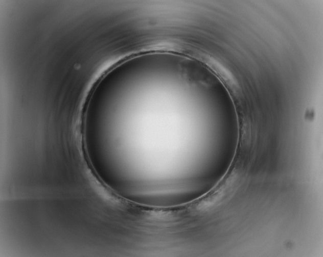 X0000102860800200808181440