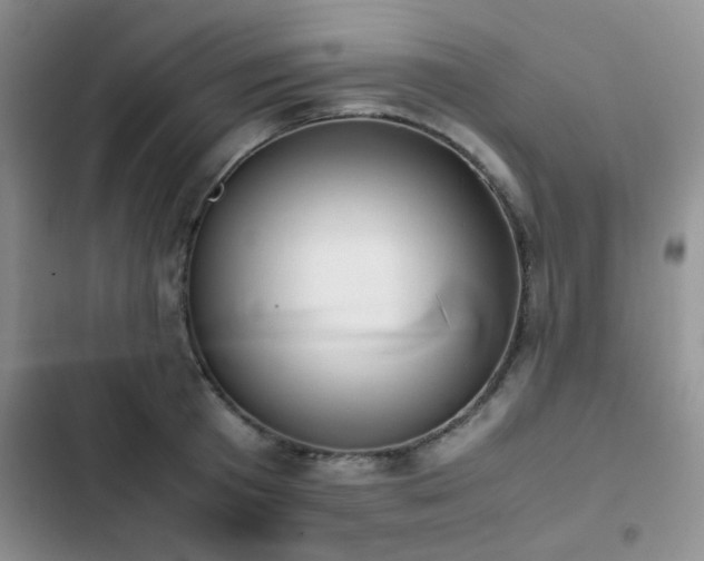 X0000102860801200808181440