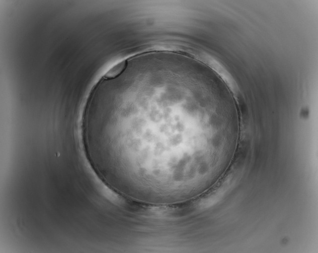 X0000102860803200808181440