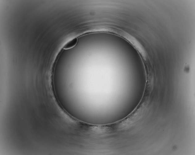 X0000102860805200808181440