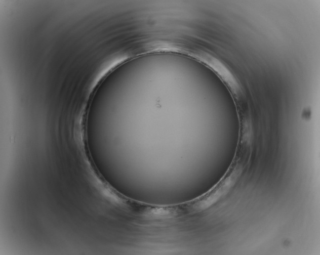 X0000102860806200808181440