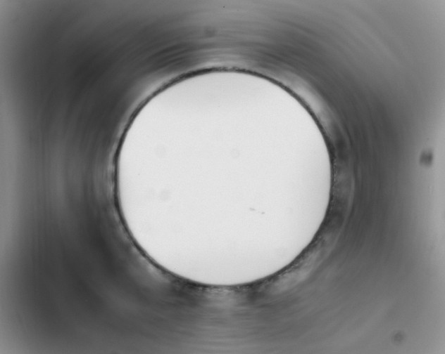 X0000102860807200808181440