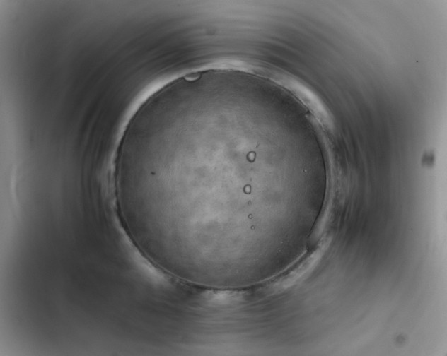 X0000102860808200808181439